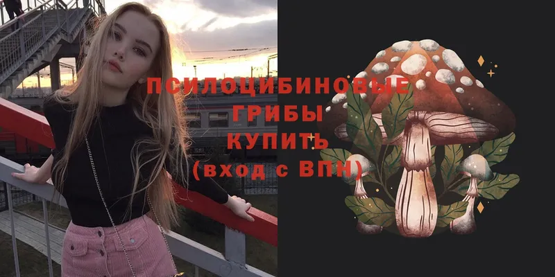 ссылка на мегу   Никольское  Псилоцибиновые грибы Cubensis 